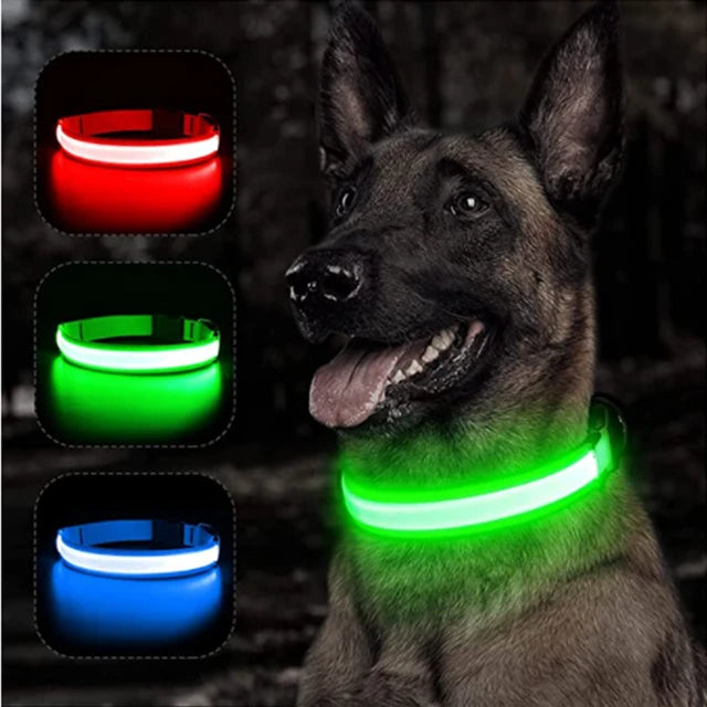 Coleira de LED Para Cães